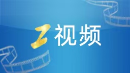 密集通报！10余省份超1700人被处理